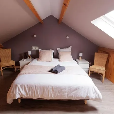 L'appart Cosy -proche Apartment